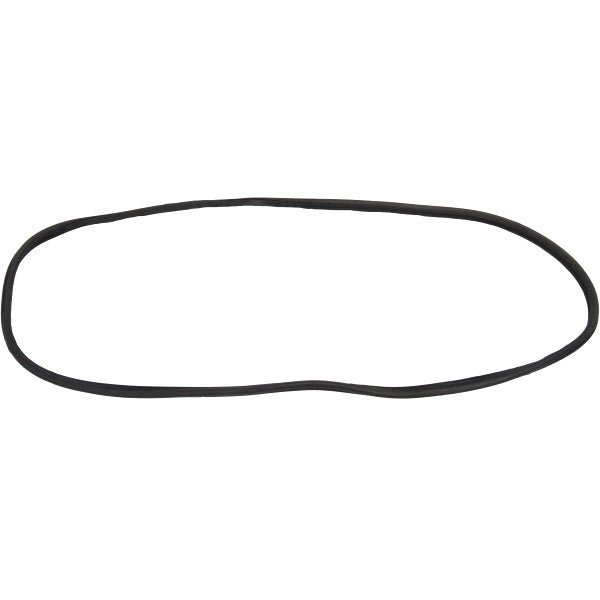 Windshield Gasket