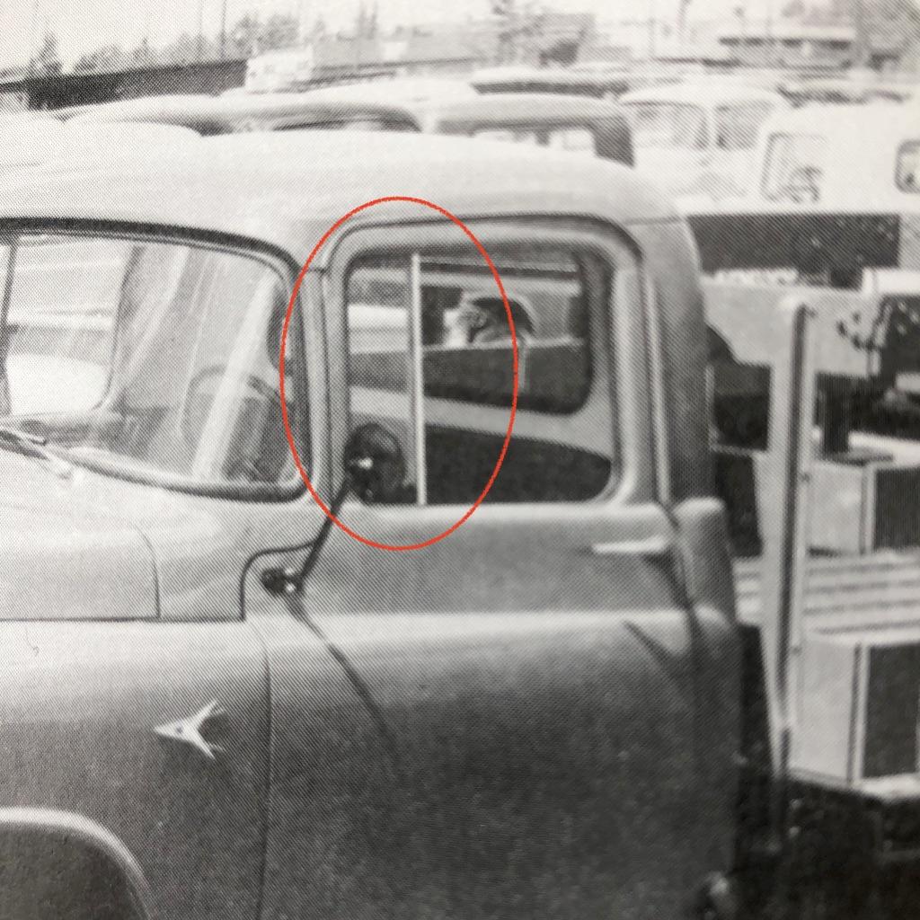 Vent Window Rubber Seal | 1954-1956 Mopar Trucks