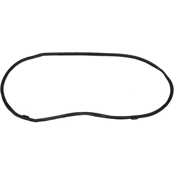 Windshield Gasket