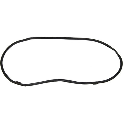 Windshield Gasket