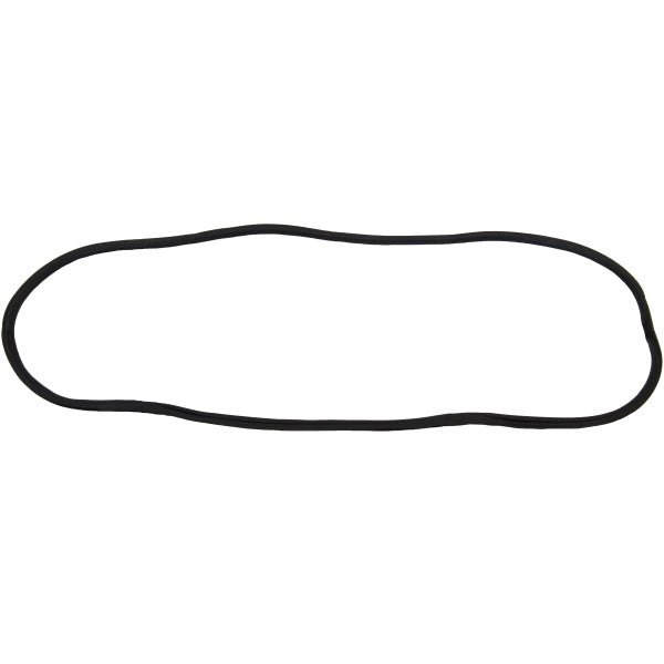 Windshield Gasket