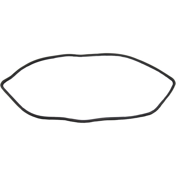 Windshield Gasket