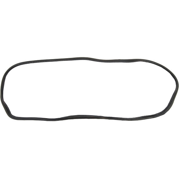 Windshield Gasket