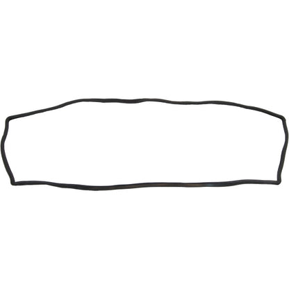 Windshield Gasket