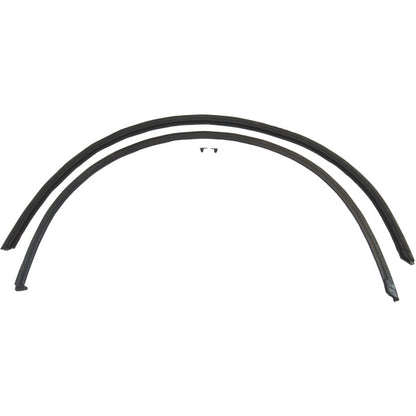 Hardtop Roof Rail Weatherstrips