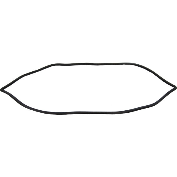 Windshield Gasket