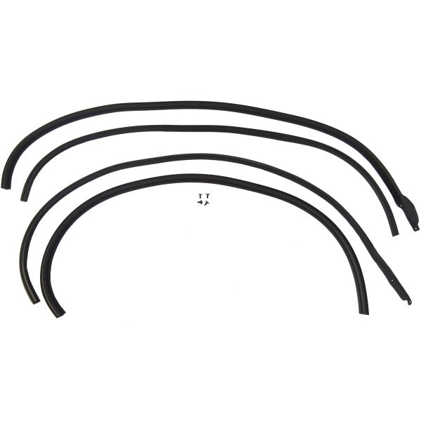 Hardtop Roof Rail Weatherstrips