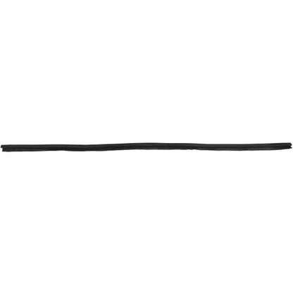 Windshield Gasket