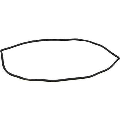 Windshield Gasket