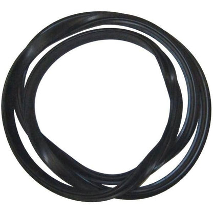Windshield Gasket