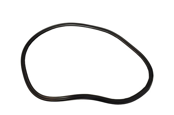 Quarter window weatherstrip