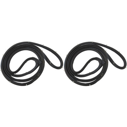 Rear Door Weatherstrips
