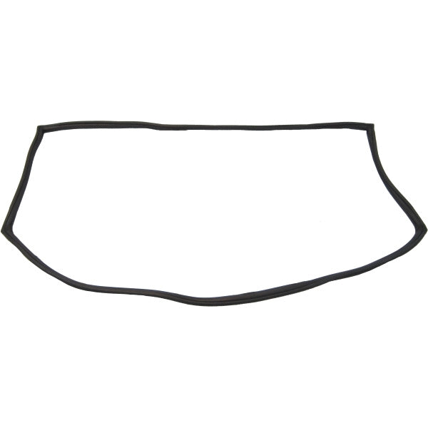 Windshield Gasket