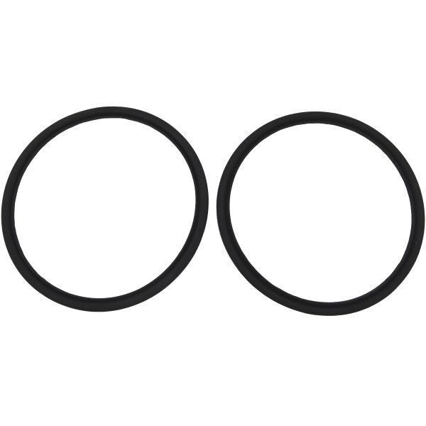 Headlight Door To Lens Weatherstrips