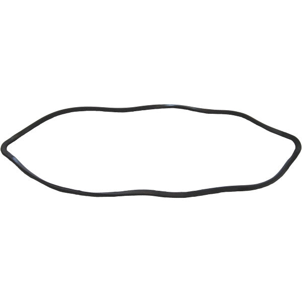 Windshield Gasket