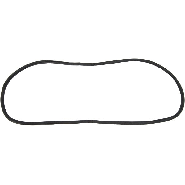 Windshield Gasket
