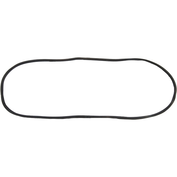 Windshield Gasket