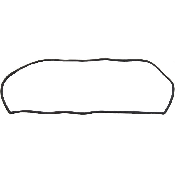 Windshield Gasket