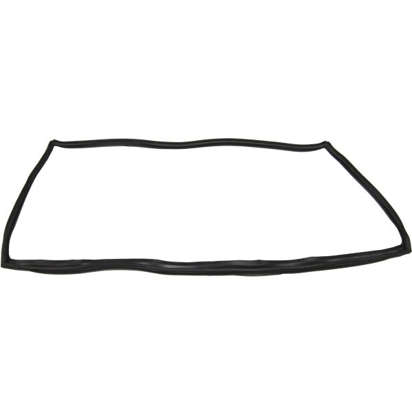 Windshield Gasket